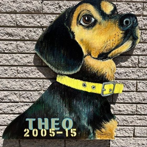 Pet Portraits cover