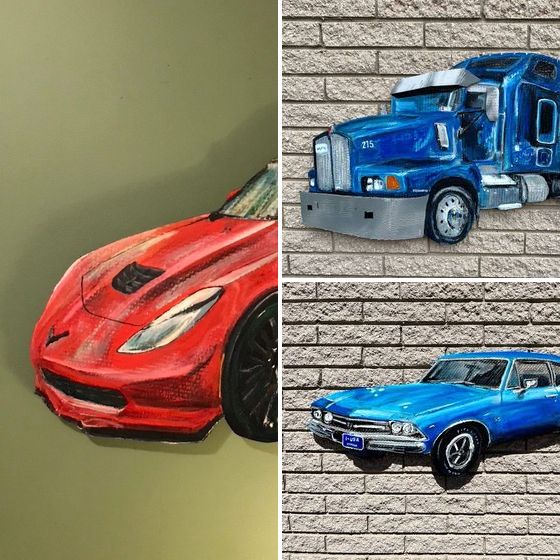 Vehicles cover